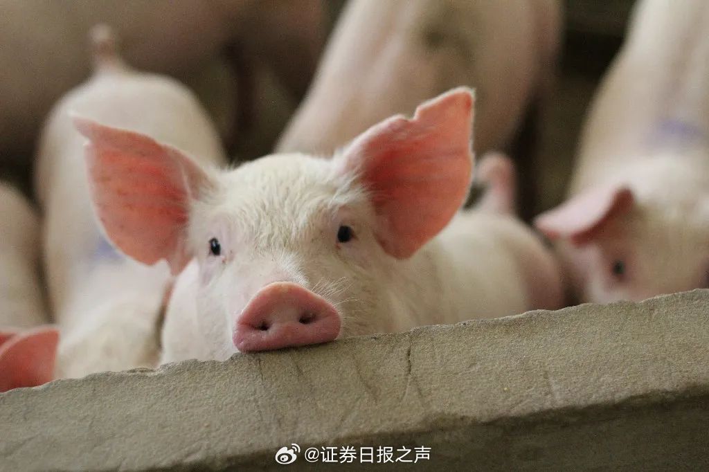 娱乐生活 第46页